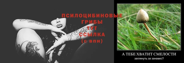 прущие грибы Киреевск