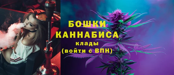 прущие грибы Киреевск