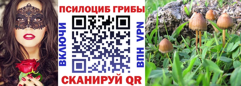 Купить  Новоржев  Псилоцибиновые грибы GOLDEN TEACHER 