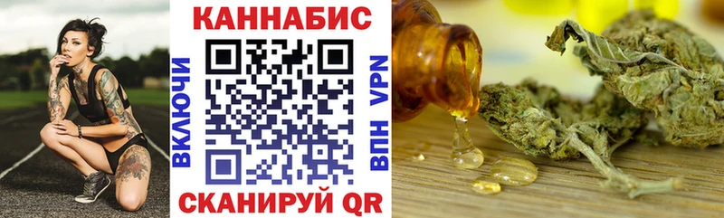 Купить закладки  Новоржев  Конопля индика 